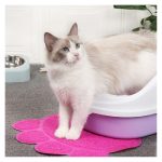 Set per fonduta Cecotec Set per fonduta Fun GourmeteFondue Advance - immagine 3