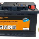 Batteria Gallagher Premium Al Piombo 12 V/65 Ah Per Elettrificatori E Recinti Elettrici