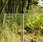 Euronetz Rete Per Cinghiali Bianca 75/1-14/B-50 M Gallagher Per Recinzioni Elettriche - immagine 3