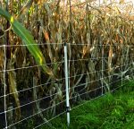 Euronetz Rete Per Cinghiali Bianca 75/1-14/B-50 M Gallagher Per Recinzioni Elettriche - immagine 5