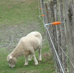 Distanziatore Live Tip A Bullone 26cm/M6 Confezione 20 Pz. Gallagher Per Recinzioni Elettriche - immagine 2