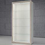 Vetrina in cristalli temperati 100 x 40 x 210 cm QF/S