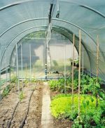 Miniserra MS 4,5x6/1,5 Struttura in Acciaio Zincato Copertura In Polietilene - immagine 4