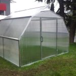 Serra Flora 3,25x3 Con Telaio In Acciaio Zincato E Chiusura In Policarbonato