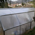 Serra Flora 3,25x6 Con Telaio In Acciaio Zincato E Chiusura In Policarbonato