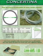 Concertina Zincata - Diametro Interno: 60 cm - Per Recinzioni In Rete Metallica - Matassa Da 10-12 M - immagine 2