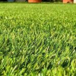 Prato Sintetico Artificiale ITALFROM® Spessore:20 mm altezza 2mt