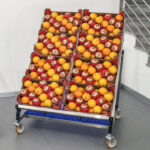 Espositore Bancarella Inclinabile Piano Doppio in Acciaio Inox