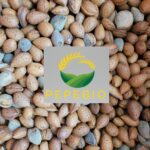 Mandorle con Guscio 500g – Coltivate in Irpinia, Raccolta 2024