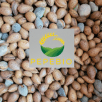 Mandorle con Guscio 1kg – Coltivate in Irpinia, Raccolta 2024