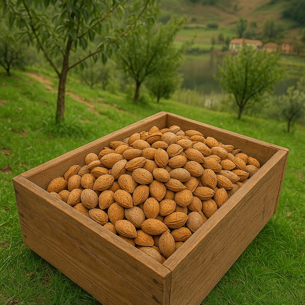 mandorle