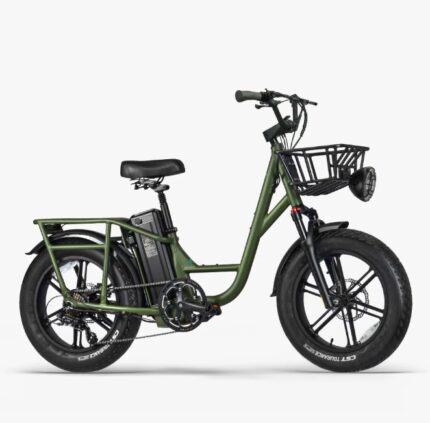 Fiido T1 Pro Cargo Bici Elettrica Fat Bike Utility