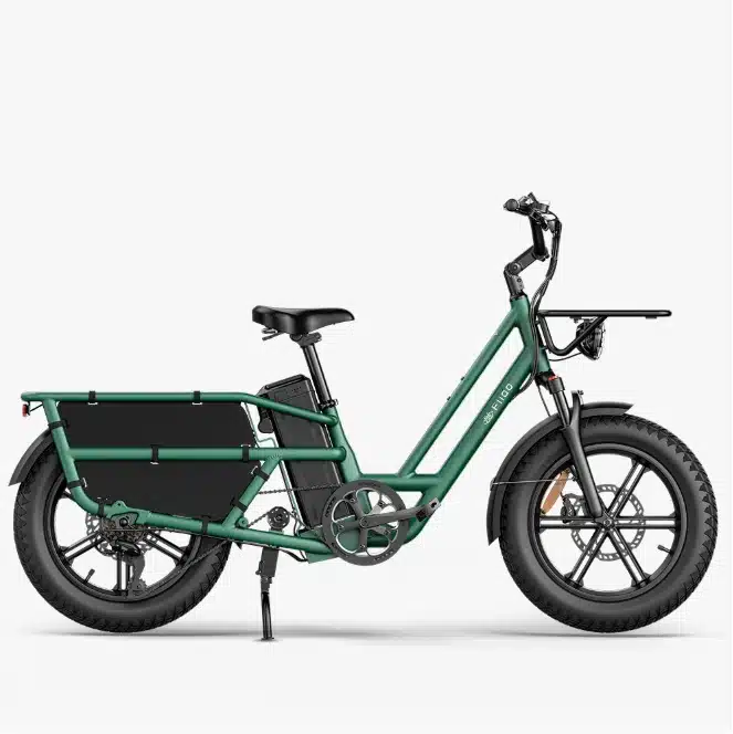 fiido-t2-longtail-bici-elettrica-cargo-fat-bike