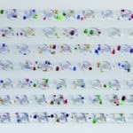 TENDA IN PVC QUADRIFOGLIO cm. 140x240 col. Multicolor