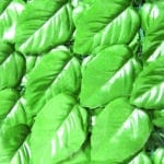 Confine SIEPE ARTIFICIALE LAURO PLUS CON RETE OMBREGGIANTE mt. 1,5x3