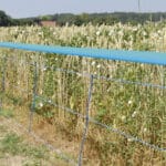 RETE ELETTRIFICABILE PER CINGHIALI WILDNET h cm. 73 lungh. mt. 50 con 12 paletti