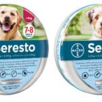 Bayer COLLARE ANTIPARASSITARIO SERESTO per cani oltre kg. 8 cm. 70