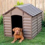 CUCCIA PER CANI cm. 72x71,5x68 h col. Marrone