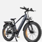 ENGWE E26 E-bike a doppia sospensione per tutti i terreni, 250 W, 140 km