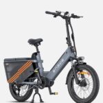 ENGWE LE20 (Versione UE) Bici elettrica da carico con motore centrale da 250 W e autonomia di 350 km BATTERIA SINGOLA