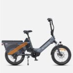ENGWE LE20 (Versione UE) Bici elettrica da carico con motore centrale da 250 W e autonomia di 350 km DOPPIA BATTERIA