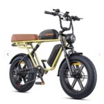 ENGWE M1 E-bike per doppio passeggero con coppia di 65 Nm secondo lo standard UE, in stile motocicletta DOPPIA BATTERIA