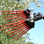 Abbacchiatore V8 Evo