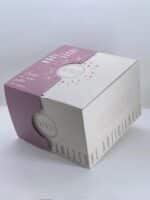 scatola panettone artigianale noci e fichi satollo