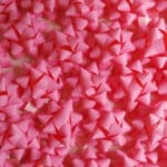COCCARDE STELLE MAT COLOR  - SPESSORE NASTRO mm 10 - COLORE ROSA - conf. 100 pz