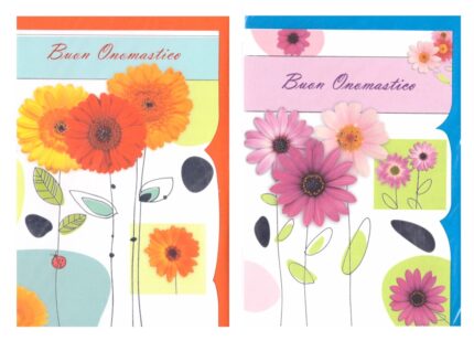 CONF 12  PEZZI  BIGLIETTI  AUGURI ONOMASTICO MIS 11,5X17