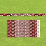 CONF. 12 MATITE CON GOMMINO MILAN ROSSONERO