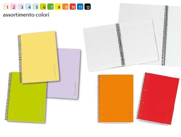 zoom_4313-0-5640bdfc.jpg QUADERNI A5 SPIRALATI HAMELIN - conf.10 pz - immagine 1