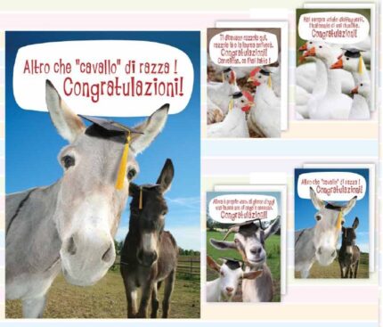 BIGLIETTI AUGURI LAUREA IRONICA - CARTA PATINATA -  FORMATO CHIUSO 11,5x17 cm - 4 SOGGETTI - conf. 24 pz