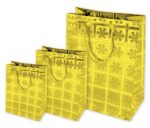 SHOPPERS IN CARTA PLASTIFICATA HOLOGRAFICA 157gr- cm 25x12x H.35 -  conf. 10 pz - immagine 2