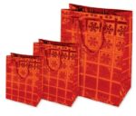 SHOPPERS IN CARTA PLASTIFICATA HOLOGRAFICA 157gr- cm 25x12x H.35 -  conf. 10 pz - immagine 5