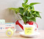 NASTRO MEMO ADESIVO  STICK'N  CON DISPENSER - mm 50 X mt 10 - COLORE ROSA NEON - immagine 4