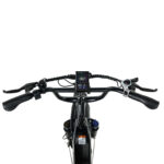 fat tire mountain bike elettrica 500W PIXAR Ride1