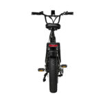 fat tire mountain bike elettrica 500W PIXAR Ride1