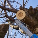 Seghetto a Batteria Kronos 58