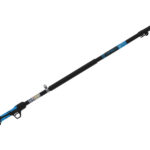 Asta di prolunga telescopica per potatori