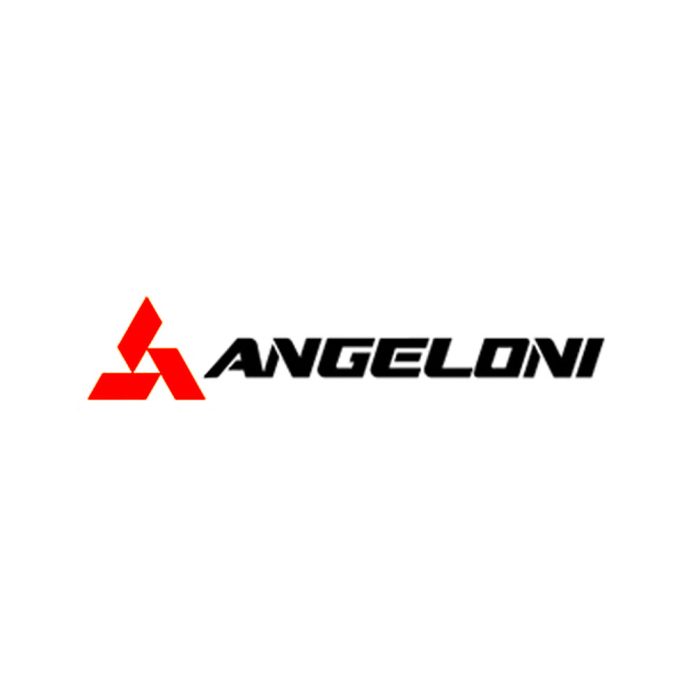 ANGELONI-Srl-1x1-1-696x696 Accessori Per Caricatore Frontale CF - immagine 1