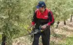 Tagliasiepi Elettrico  Raptor - immagine 5