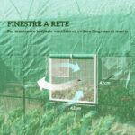 Serra da Giardino Telaio in Acciaio e 4 Finestre in PE 2,5x2x2m, Verde - immagine 6