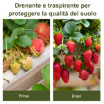 Telo per Pacciamatura 50x1 m in PP Drenante e Traspirante per Orto, Serra e Giardino, Nero - immagine 7