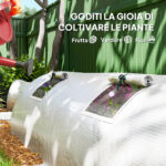 Mini Serra da Giardino a 4 Porte Arrotolabili con Copertura Allungata, in Acciaio e PE, 360x90x90 cm, Verde - immagine 6