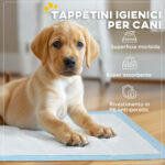 Set 1 Tappetini Igienici per Cani a 6 Strati in Tessuto non Tessuto, Carta e PE, 45x60 cm, Blu e Bianco - immagine 4