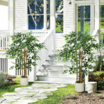 Pianta Artificiale di Baniano Verde in PEVA e Legno con Vaso Contenitore in PP e Cemento, 55x55x120 cm - immagine 8