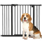 Cancellino per Cani a 2 Estensioni con Larghezza Regolabile fino a 1 cm e Chiusura Automatica, Nero