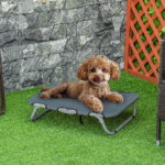 Lettino per Cani Pieghevole in Acciaio e Tessuto Oxford per Interni ed Esterni, 59x46x15 cm, Grigia - immagine 2