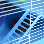 Gabbia per Criceti a 2 Livelli con Serbatoio per Acqua, Vassoio, Tubo e Ruota per Criceti, 46x30x37 cm - immagine 9